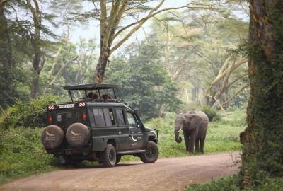 Ngorongoro Crater game drives