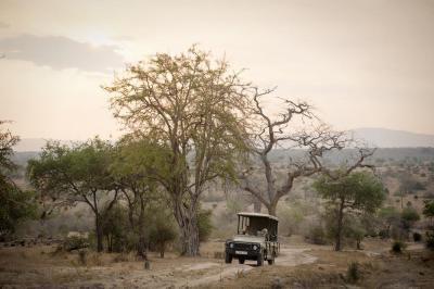 Safari game drives
