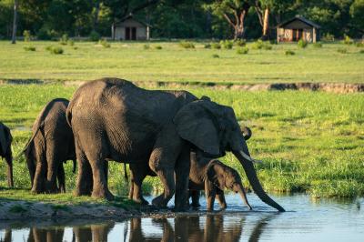 Wilderness Davison's – Game Drives