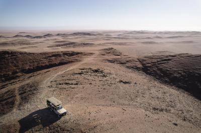 Scenic Wildlife Drives