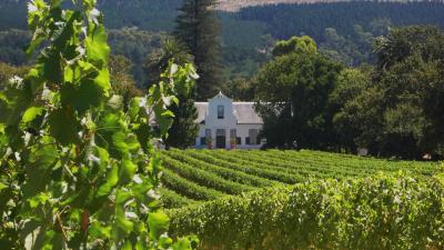 Groot Constantia