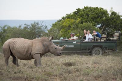 Rhino Monitoring Drive 