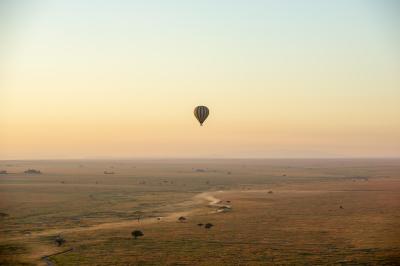 Balloon Safaris