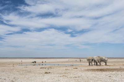 Little Ongava - Excursions into Etosha National Park