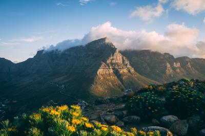 Table Mountain