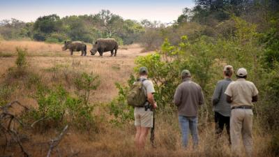 Black Rhino Tracking on Foot