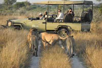Game Drives - Day