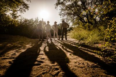 Guided Safari Walks