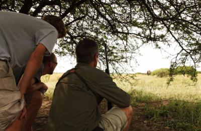 Specialist Walking Safari 