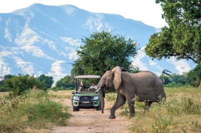 Wilderness Ruckomechi – Game Drives