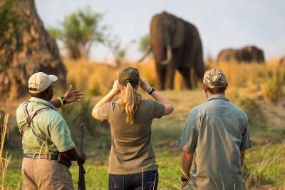 Wilderness Ruckomechi – Guided Nature Walks