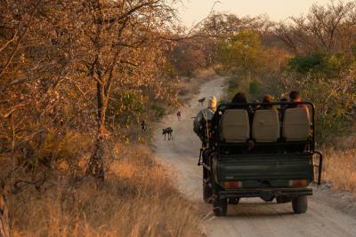 Game drives