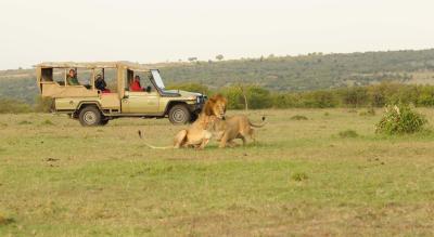 Game Drives