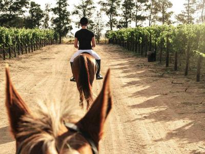Equestrian Experiences