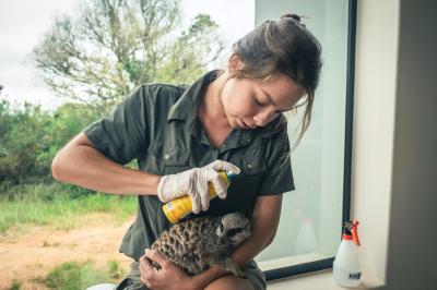 The Wildlife Rehabilitation Centre