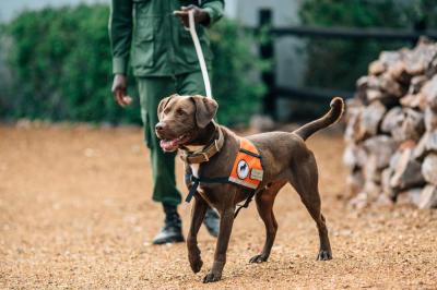 Anti-poaching Observation Post VisitÂ 