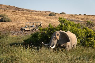 Wilderness Desert Rhino Camp - Nature Drives