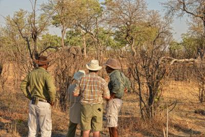 Walking Safaris