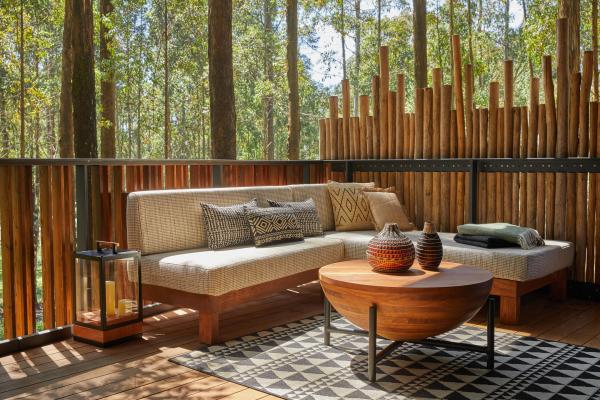 One and Only Gorilla's Nest