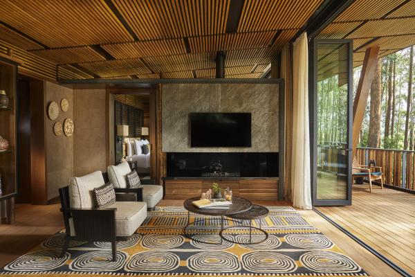 One and Only Gorilla's Nest