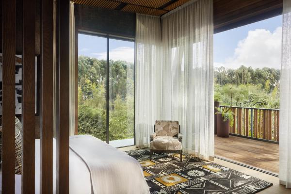 One and Only Gorilla's Nest