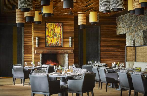 One and Only Gorilla's Nest