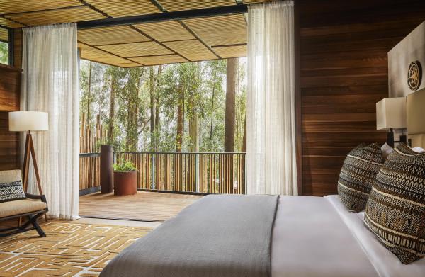 One and Only Gorilla's Nest