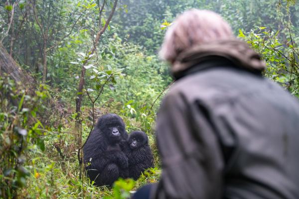 Sabyinyo Silverback Lodge 