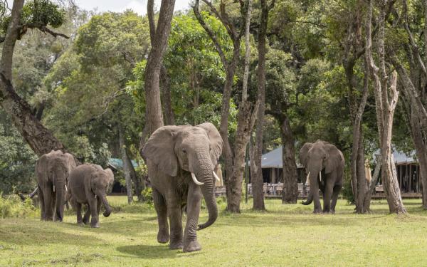 Little Governors' Camp 