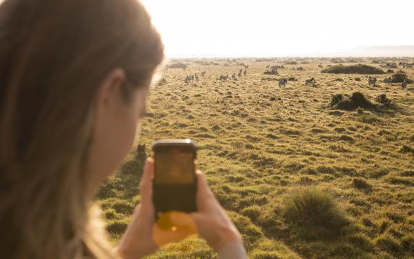 Little Governors' Camp 