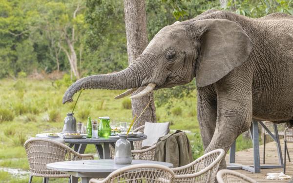 Little Governors' Camp 