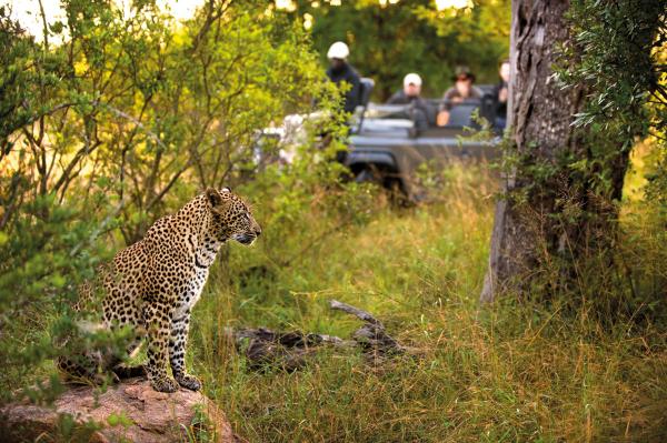 Lion Sands River Lodge 