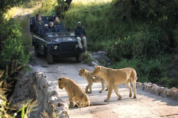 Lion Sands River Lodge 