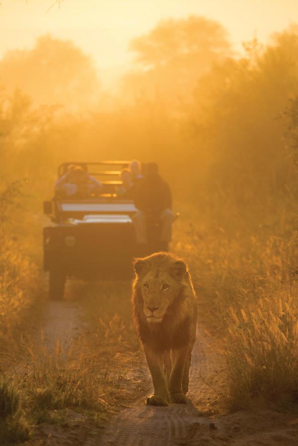 Lion Sands River Lodge 
