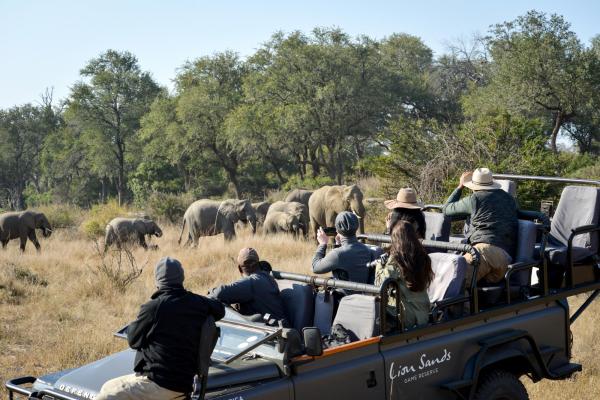 Lion Sands Ivory Lodge