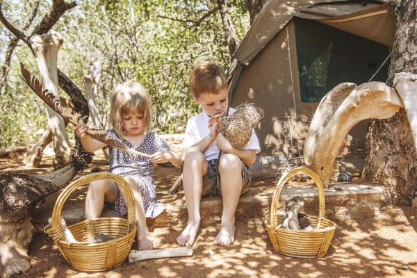 Tuningi Safari Lodge