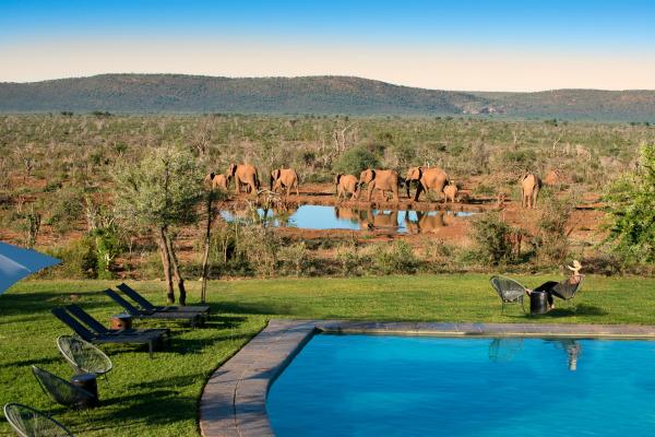 Madikwe Safari Lodge