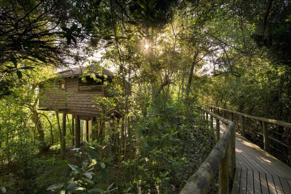 Tsala Treetop Lodge