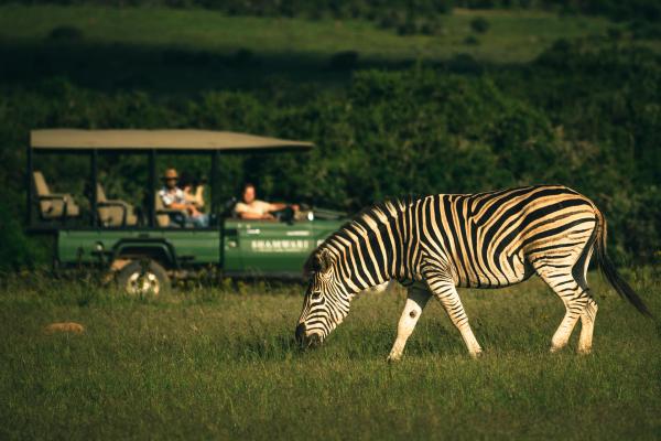 Bayethe Tented Lodge