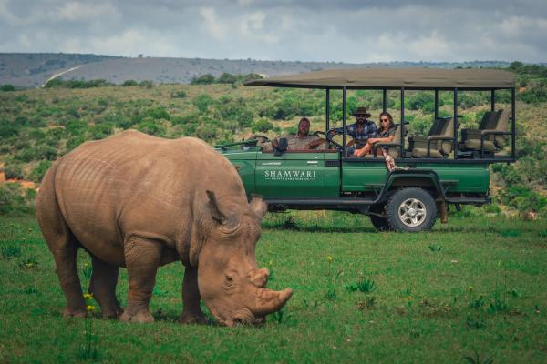 Bayethe Tented Lodge