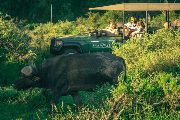 Bayethe Tented Lodge