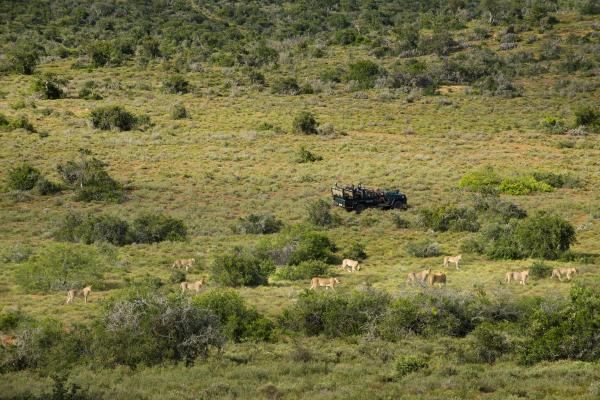 Kwandwe Great Fish River Lodge