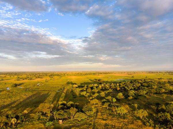 Camp Okavango