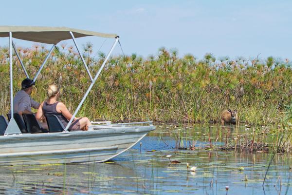 Camp Okavango