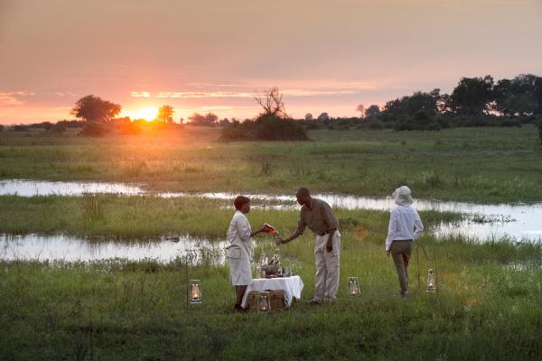 Duba Plains Camp