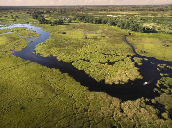 Duba Plains Camp