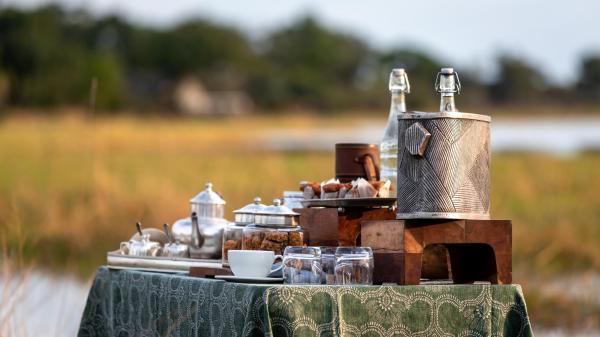 Abu Camp: Okavango Delta, Botswana