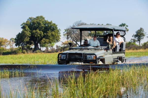 Abu Camp: Okavango Delta, Botswana