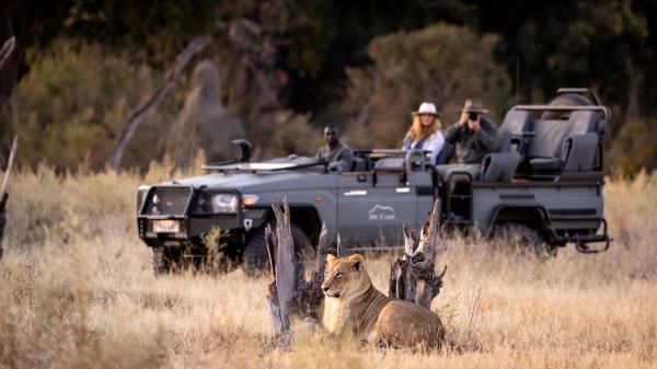 Abu Camp: Okavango Delta, Botswana