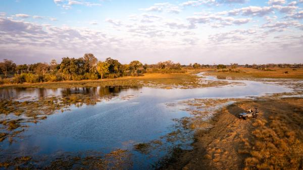 Abu Camp: Okavango Delta, Botswana